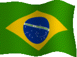 Brazilian Flag